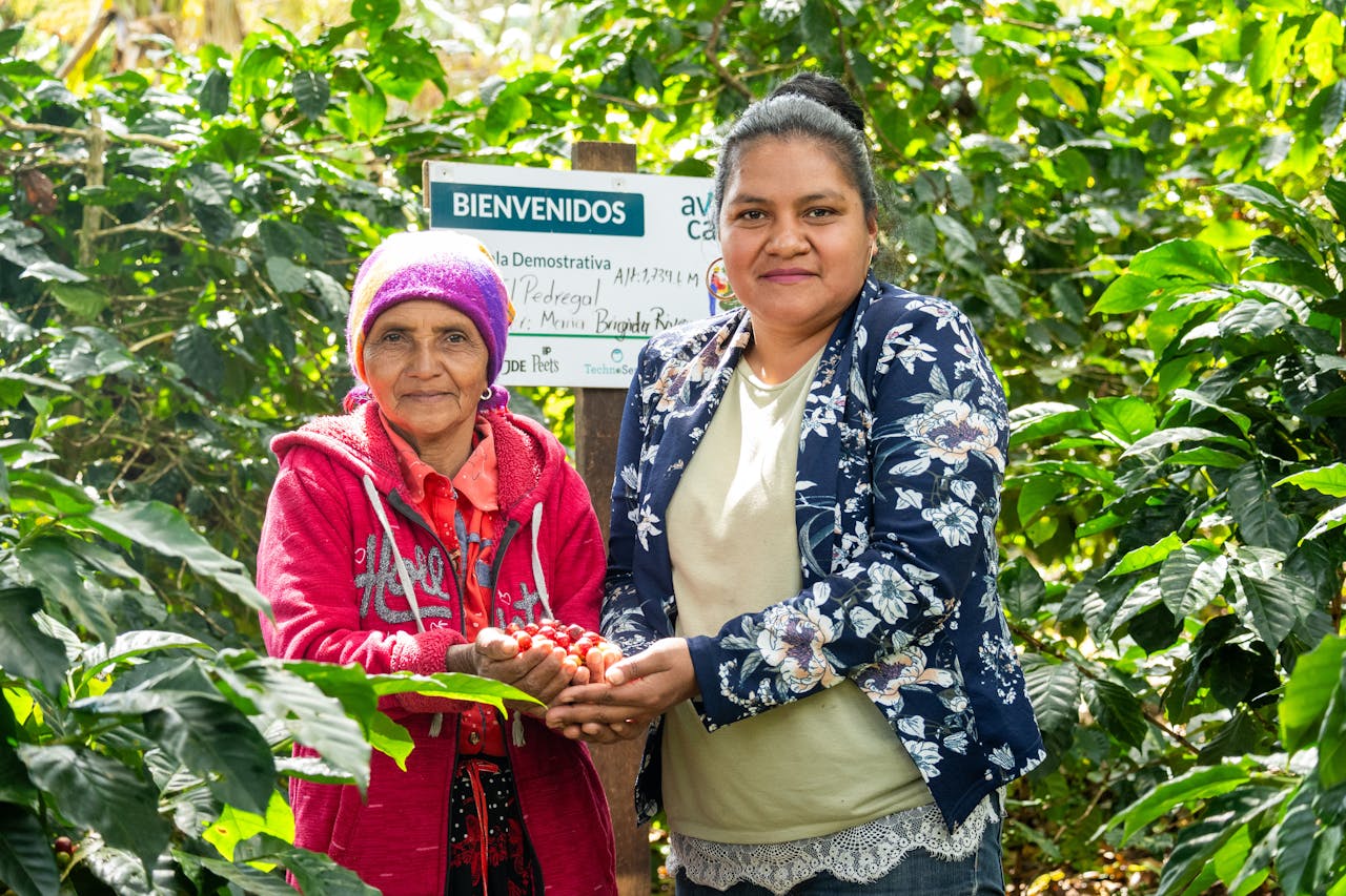 Two women farmers showcase fresh coffee cherries amidst lush coffee plants in a vibrant outdoor setting.